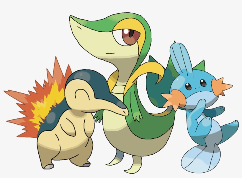 Cyndaquil, Snivy & Mudkip, Drawn On Paint These Were - Paint, transparent png download