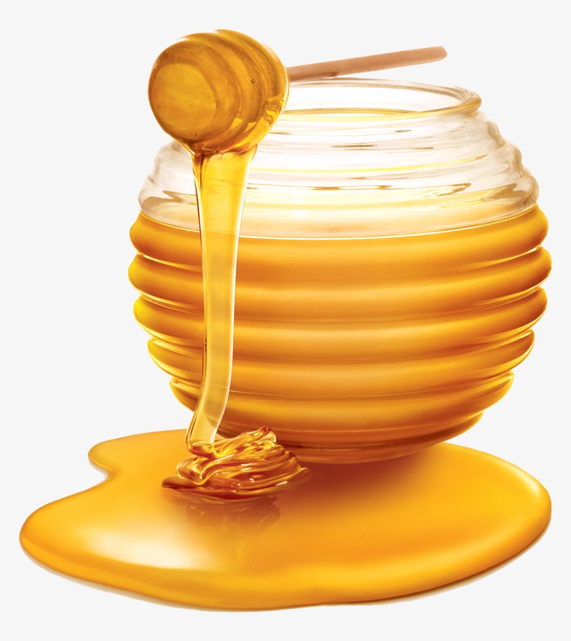 Free Png Honey Png Images Transparent - Honey Png, transparent png download