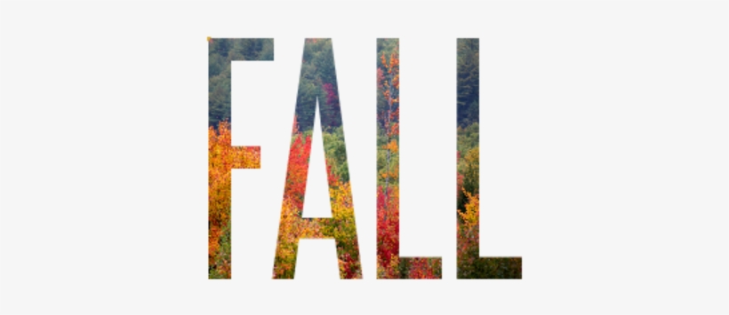 Fall - Creative Arts, transparent png download
