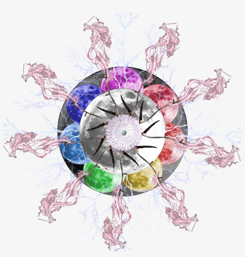 45th Seal - Illustration, transparent png download