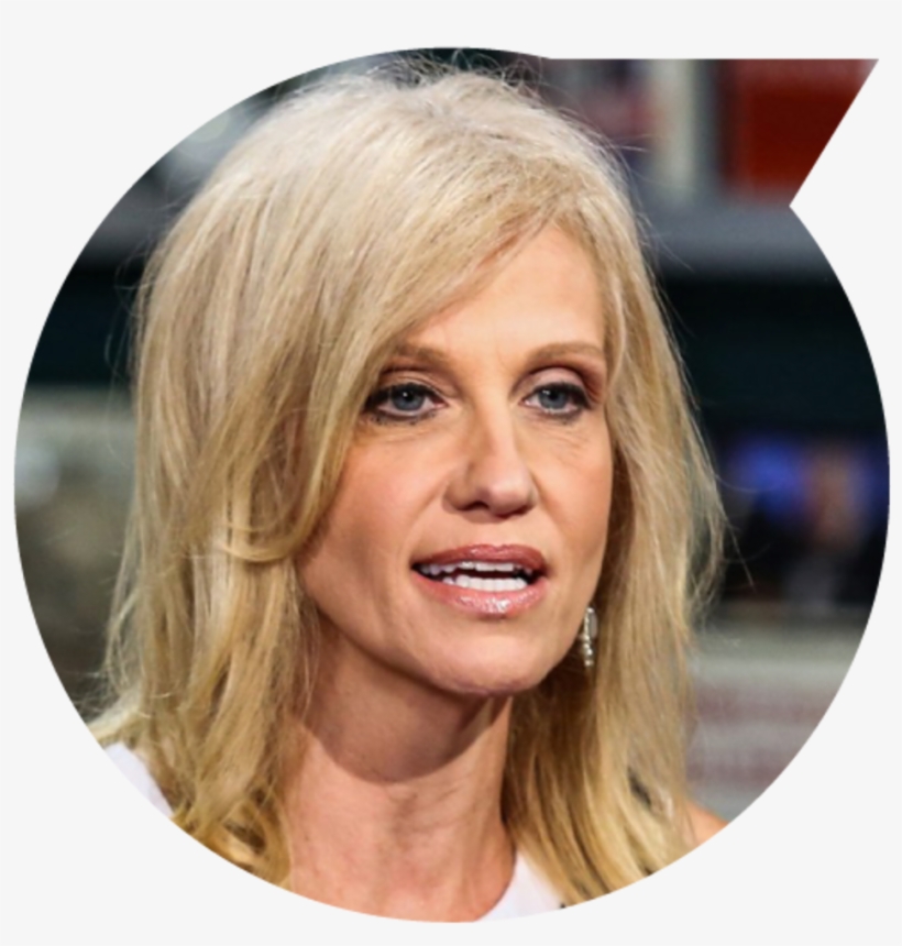 “if You Want To See Reagan Conservatives Running The - Kellyanne Conway, transparent png download