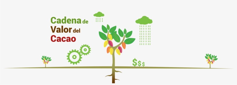 09 Am 10013 Cadena Valor Paso 2 2 10/16/2015 - Proceso De La Produccion Del Cacao, transparent png download