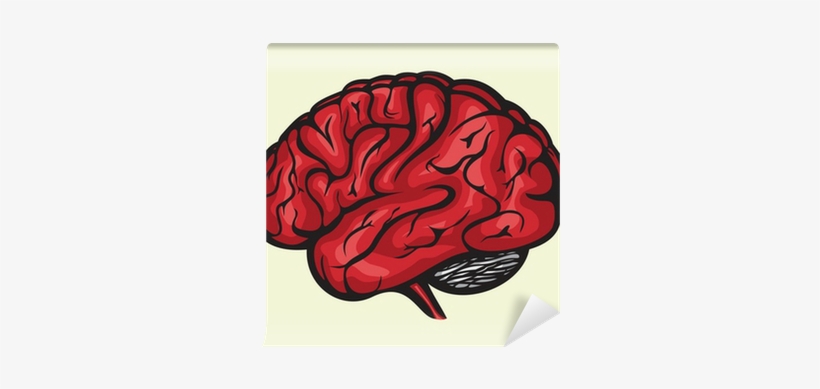 Human Brain, transparent png download
