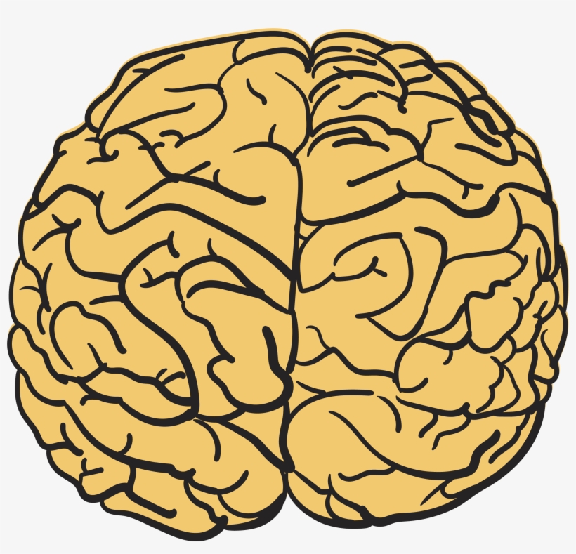 Human Brain T - Cerebro Corrupto, transparent png download
