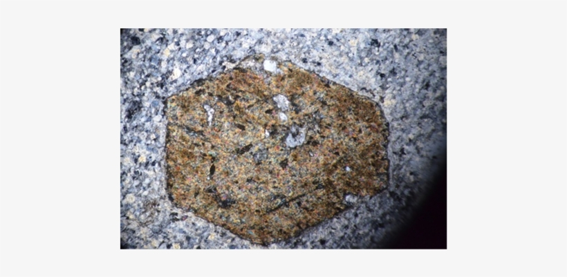 Amphibole Phenocrysts In Dacite (xpl) - Millimetre, transparent png download