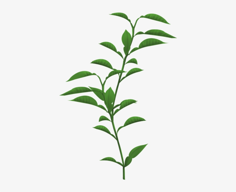 Stem Of A Plant Png Transparent Stem Of A Plant - Funny Gardening Gift, Sometimes I Wet My Plants T-shirt, transparent png download