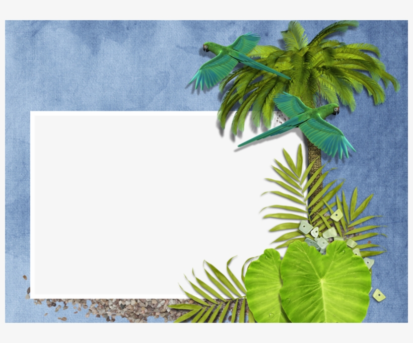 Source - Lepassetempsderose - - Cadre Photo Png Tropical, transparent png download