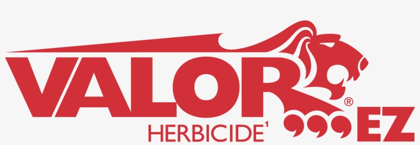 Get A Powerful Defense Against Soybean Cyst Nematode - Valor Herbicide, transparent png download