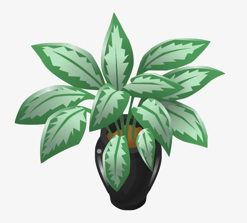 Plant 4 - Animal Jam Chinese Evergreen Plant, transparent png download