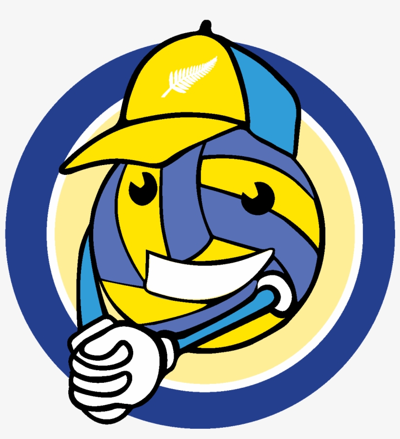 Kiwi Volleyball - - Volleyball, transparent png download