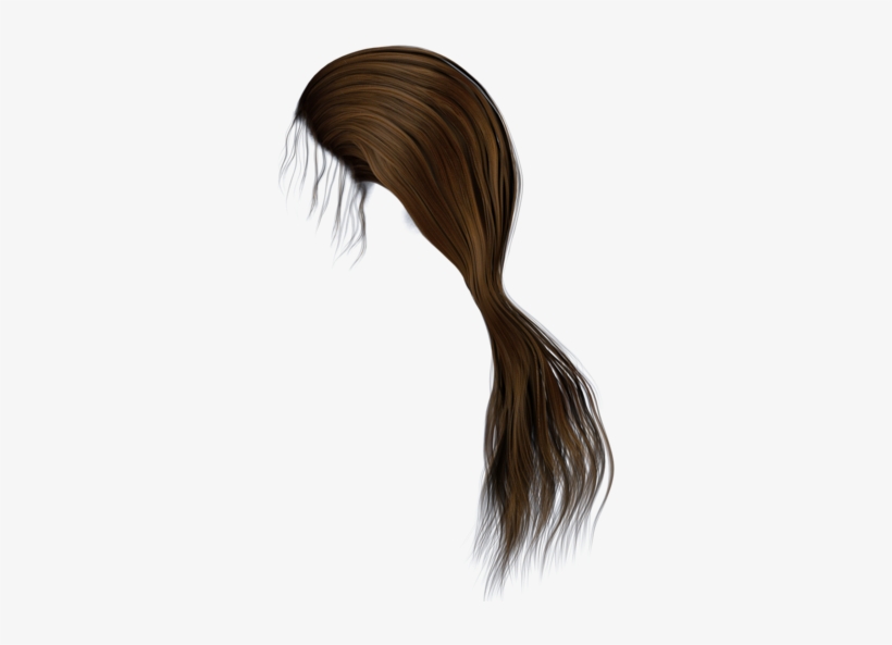 Ponytail Png Hd Transparent Ponytail Hd - Side View Hair Png, transparent png download