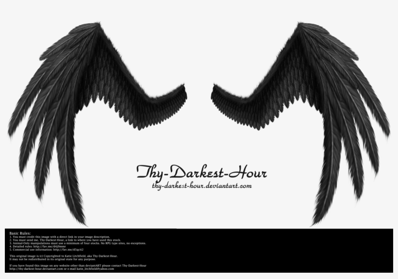 Fallen Angel Wing Png - Alas De Cuervo Png, transparent png download