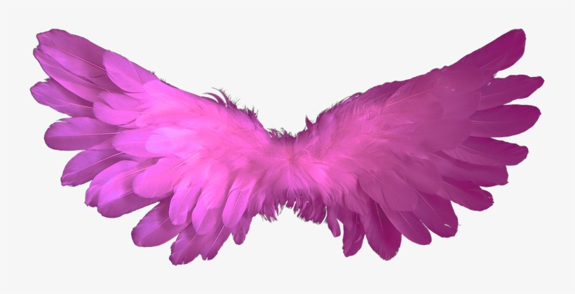 Angel Wings Feather Heaven Angel Wings Rel - Black Angel Wings Transparent, transparent png download