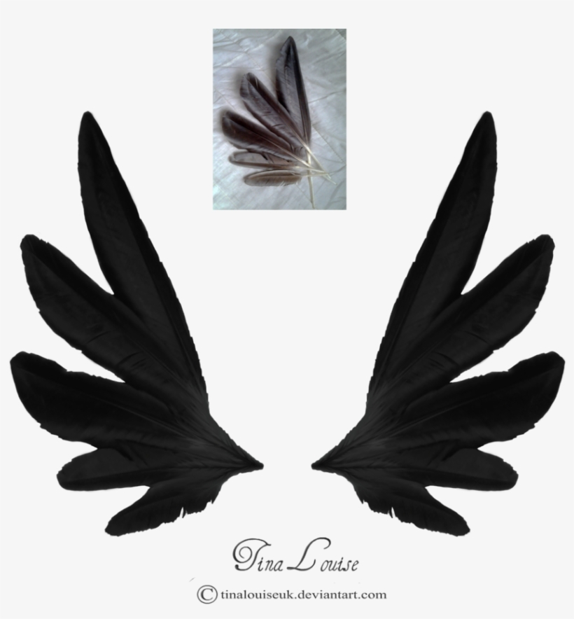 Dark Angel Wings By Tinalouiseuk - Drawing, transparent png download