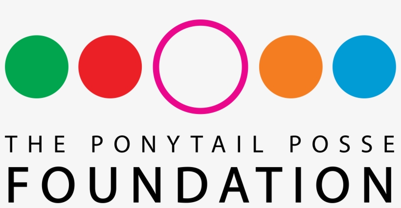 Before We Started The Project, There Was A Huge Disparity - Circle, transparent png download