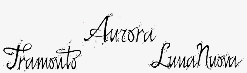 Label, transparent png download