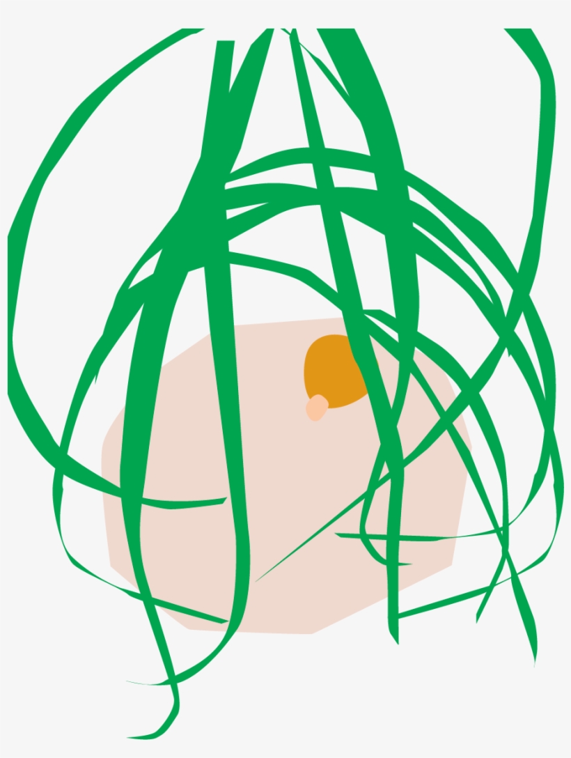 Bloomscape Ponytail Palm - Ponytail Palm, transparent png download