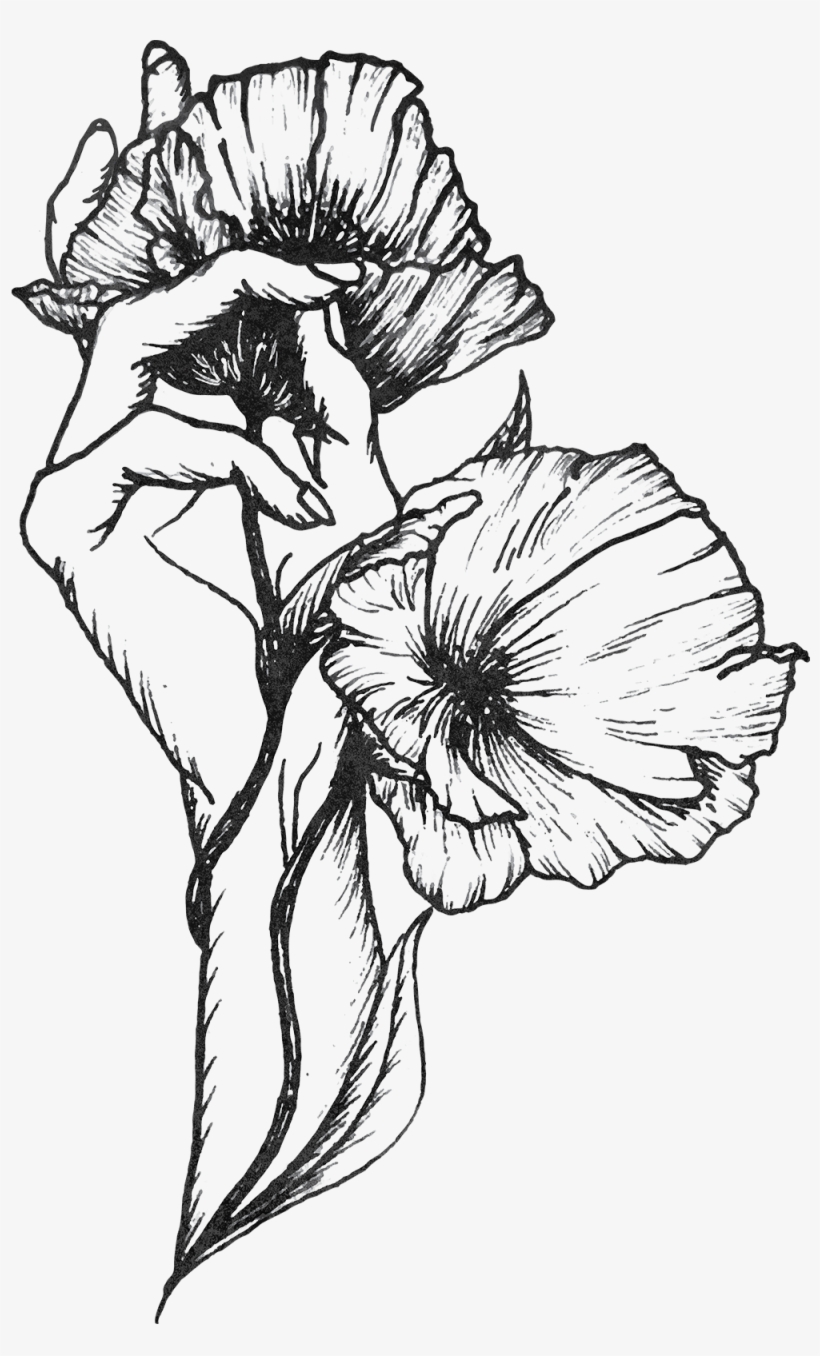 Branding For Creatives - Blog, transparent png download