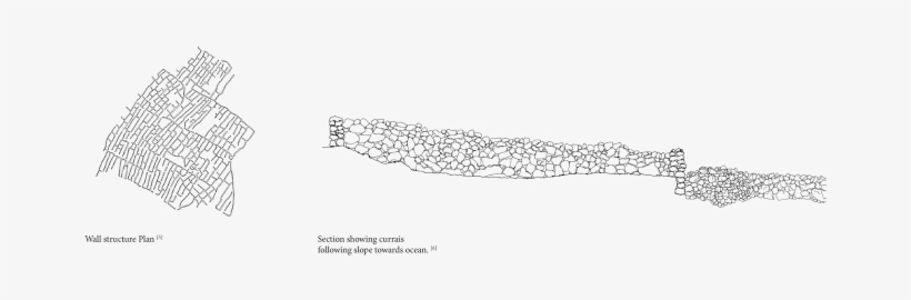 Today, Families On The Island Sell Their Grapes To - Architect, transparent png download