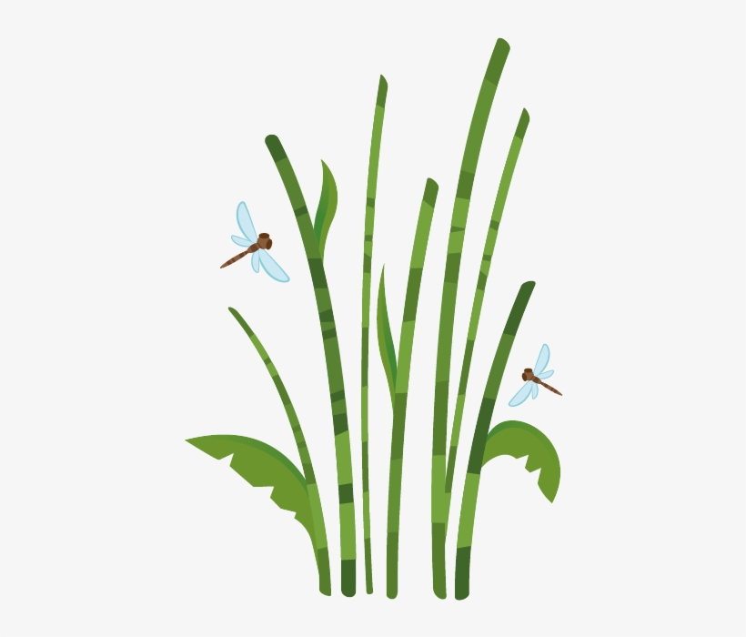 Cañas De Bambu Dibujos, transparent png download