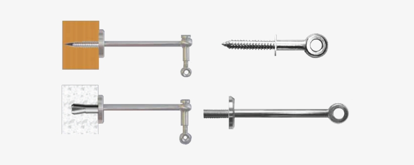 Di'vine- Hollow Wall Garden Eye - F-clamp, transparent png download