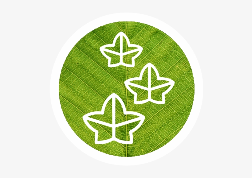 464 - Emblem, transparent png download