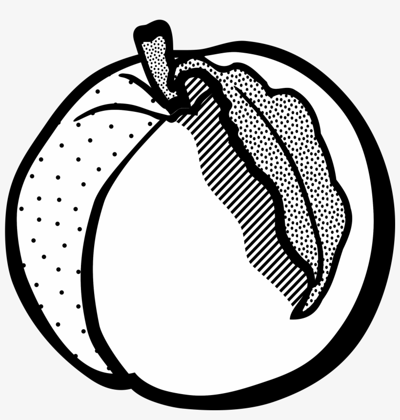 Clip Art Freeuse Library Peach Clipart Line Art Frames - Peach Lineart, transparent png download
