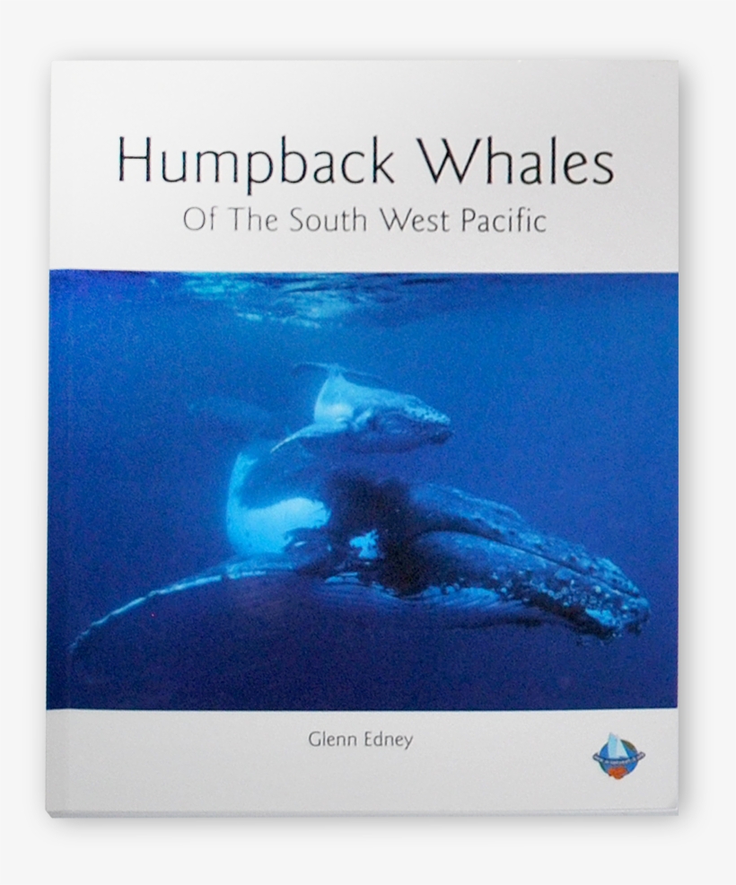 Home>books>humpback Whales Of The South West Pacific - Killer Whale, transparent png download