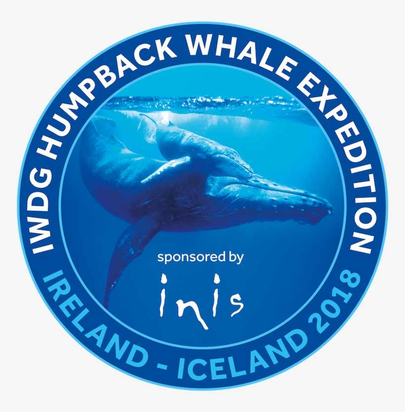Iwdg Humpback Whale Expedition - Property Of The United States Government, transparent png download