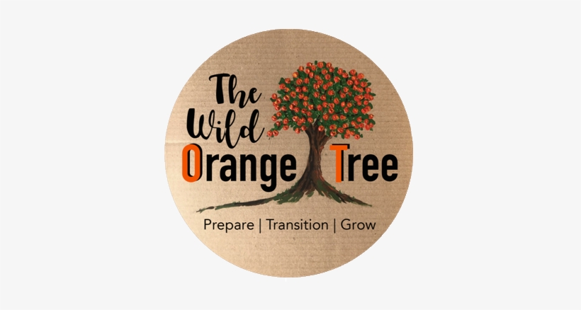 Wisdom, Strategies And Support For Women Seeking Pelvic, - Childbirth, transparent png download