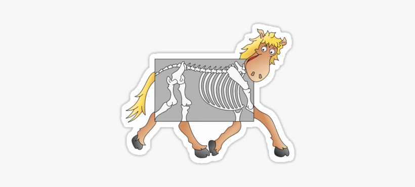Of Course, Shooting X Rays At A Horse Wouldn't Really - Old X Ray Cartoon, transparent png download