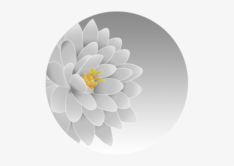 Silver Sparkle - Dahlia, transparent png download