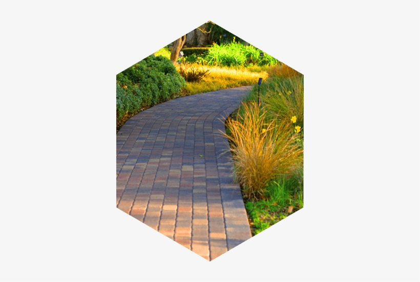 Gallery - Art Museum, transparent png download