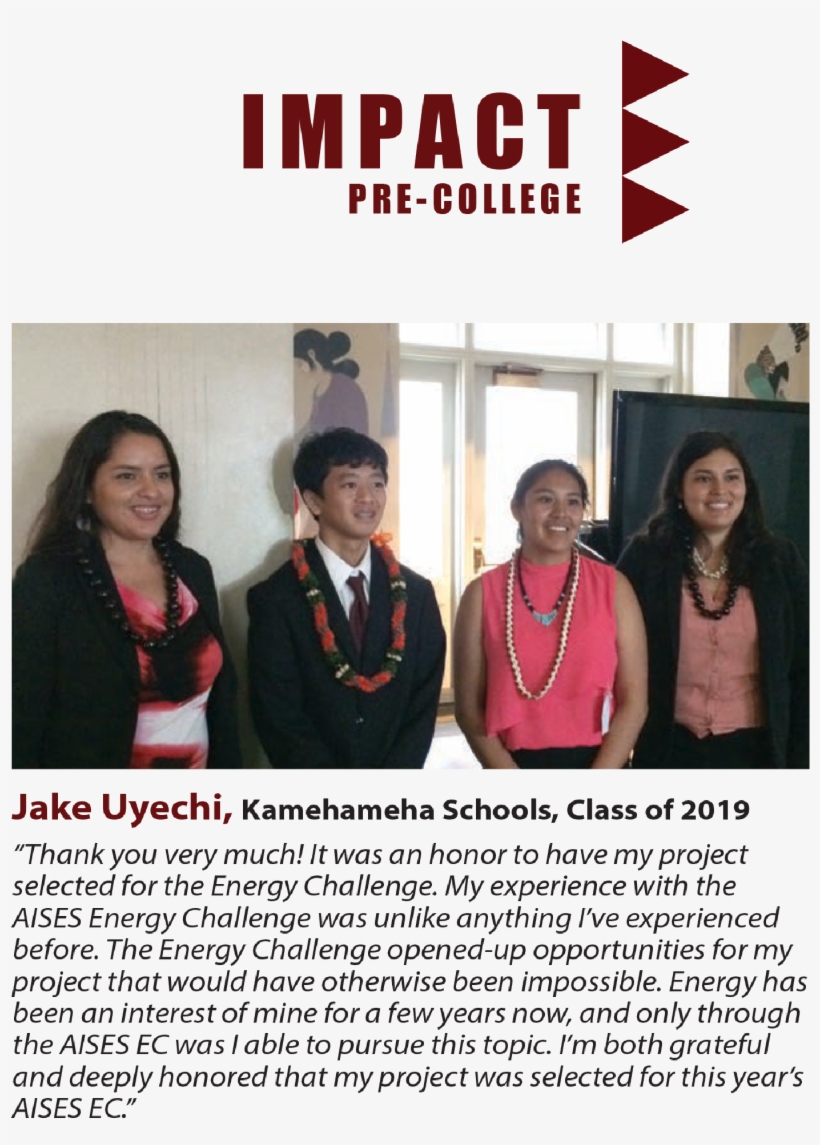 Our Four Program Areas - Poster, transparent png download