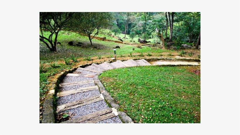 Learninglab3 - Boardwalk, transparent png download