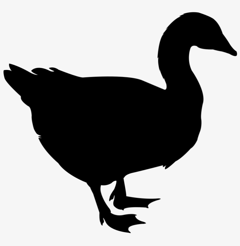 A Flock Of Canadian Geese Had Flown In And Settled - Oie Silhouette, transparent png download