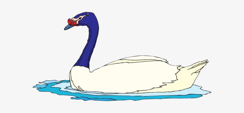 Vector Royalty Free Stock Clipart Goose - Goose In Water Clipart, transparent png download