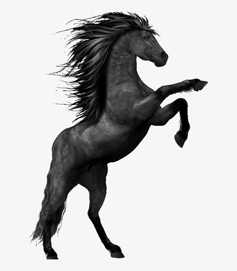 Then The Crops Were Effected Which Meant Those Who - Horse Mane Silhouettes, transparent png download