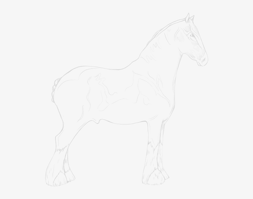 Stallion, transparent png download