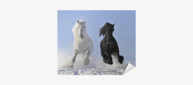 Horse In Snow Gif, transparent png download