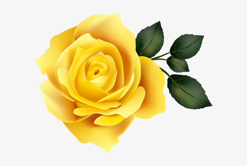 Banner Clip Art Image Gallery Yopriceville High Quality - Yellow Roses Png Clipart, transparent png download