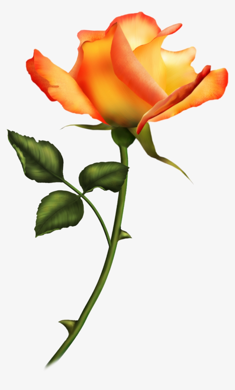 Láminas Vintage,antiguas,retro Y Por El Estilo - Talo De Flor Png, transparent png download
