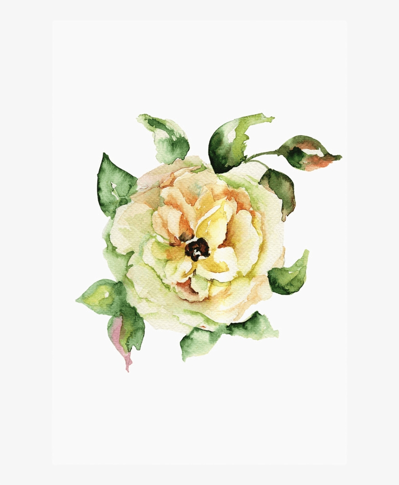 The Yellow Rose Print - Garden Roses, transparent png download