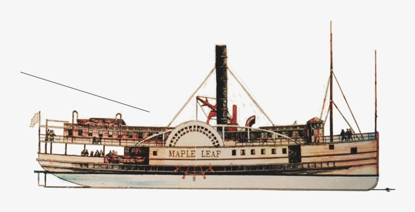 Fun Fact - - Clyde Steamer, transparent png download