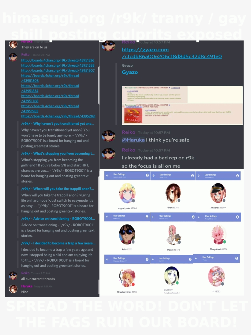 Http - //boards - 4chan - Org/r9k/thread/44550004 R9k's - Reiko Trap Harem Memes, transparent png download