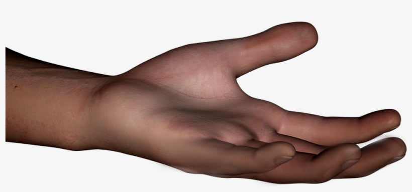 Human Arm Png - Human Hand Transparent, transparent png download