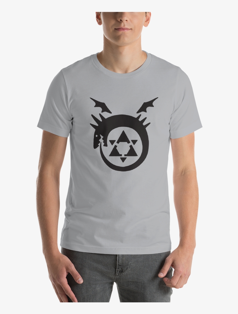Ouroboros Full Metal Alchemist, transparent png download
