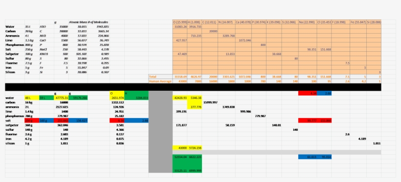 Humanchemicalbreakdown - Human, transparent png download