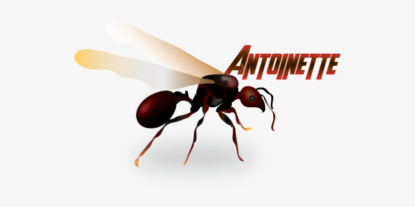 Antoinette From Ant-man Ants, Rain, Rain Fall, Ant - Antoinette Ant Man, transparent png download