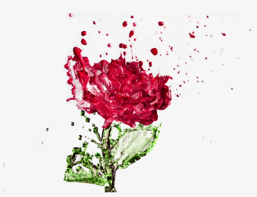 Image Stock Distilled Water Rose Drop Creative Transprent - Water Rose, transparent png download